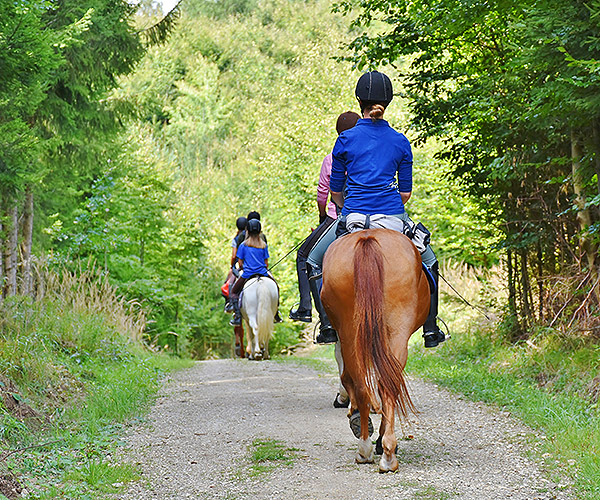 Horse riding in mid-Wales